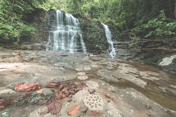 Majestuosa cascada en la densa selva tropical del Parque Nacional Kubah, West Sarawak, Borneo, Malasia. Imagen desaturada y tonificada, estilo instagram . —  Fotos de Stock