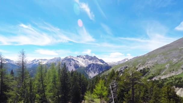 Mozgó timelapse felhők felett nagy magasságban fekvő snowcapped hegység és a vörösfenyő fa erdei a Queyras regionális Park, Franciaország. — Stock videók