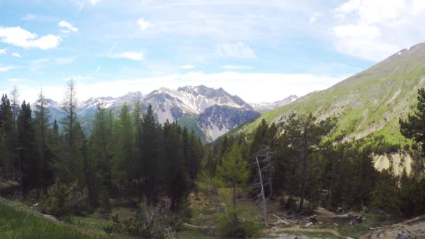 Paysage de haute altitude avec majestueuse chaîne de montagnes enneigées et forêt de mélèzes dans le parc régional de Queyras, France . — Video