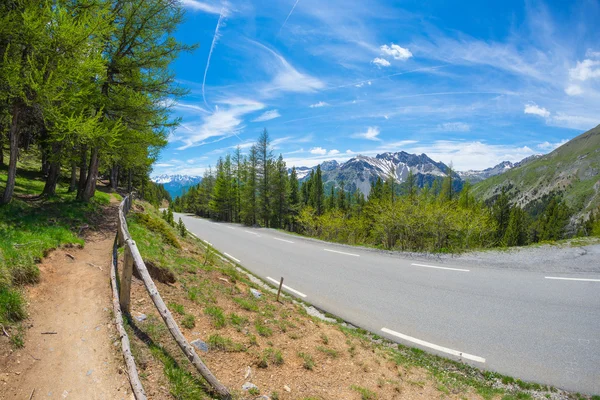 Strada asfaltata a due corsie che attraversa montagne e boschi in panoramico paesaggio alpino e cielo lunatico, vista fisheye. Avventura estiva e gita al Col d'Izoard (2.360 m) nel Parco Regionale di Queyras, Francia . — Foto Stock