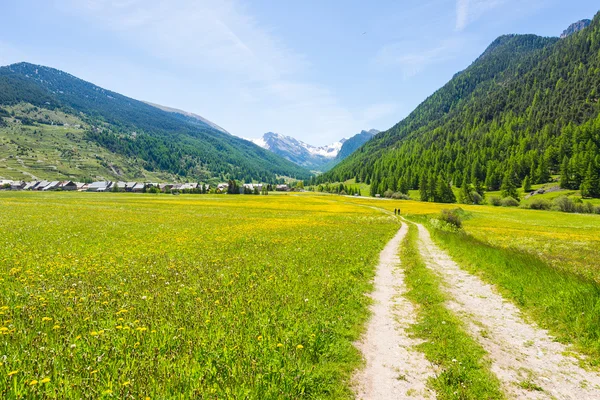 Polnej drodze kraju przekraczania kwieciste łąki, góry i Las w malownicze krajobrazy i moody niebo. Letnie przygody i roadtrip w Ceillac village w parku regionalnego Queyras, Alpy Francuskie. — Zdjęcie stockowe