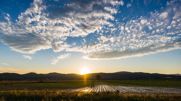 Landscape of cultivated fields and farms with mountain range in the background. Irrigation system for industrial agriculture. Backlight with scenic sky at sunset. — Stock Photo, Image