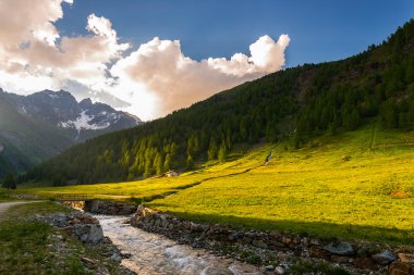 Stream flowing through blooming alpine meadow and lush green woodland set amid high altitude mountain range at sunsets. Valle d'Aosta, Italian Alps.