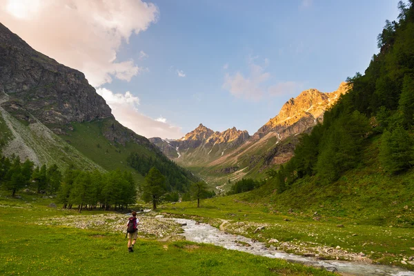 Caminhadas de mochileiros em paisagem idílica. Aventuras de verão e exploração nos Alpes. Fluxo que flui através do prado florescente e bosque verde situado em meio a alta altitude gama de montanhas ao pôr do sol. Valle Fotos De Bancos De Imagens