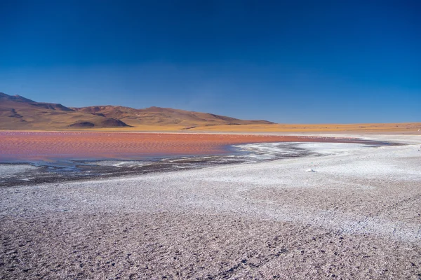 Bunter Salzsee mit Flamingos auf den bolivianischen Anden — Stockfoto