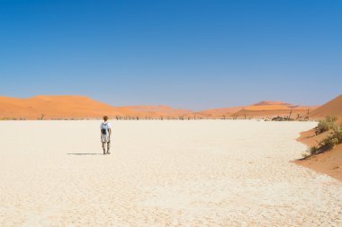Görkemli Namib Çölü, Sossusvlei, Namib Naukluft Milli Parkı, ana ziyaretçi cazibe ve seyahat hedef Namibya yürüyen turist. Afrika macera.