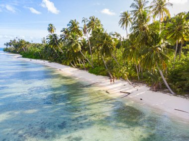 Tailana Banyak Adaları 'ndaki tropik plajlarda yaşayan çift Sumatra tropikal takımadaları Endonezya, Aceh, mercan kayalıkları beyaz kumsal gezileri, şnorkelle dalma.