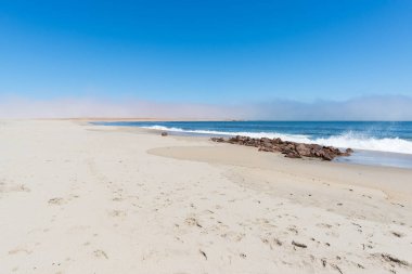 Kumsal ve Atlantik Okyanusu kıyısındaki Cape Cross, Namibya, yakındaki fok kolonisiyle ünlüdür. Açık mavi gökyüzü