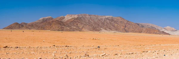 Wycieczka Pustyni Namib Namib Naukluft National Park Cel Podróży Namibii — Zdjęcie stockowe