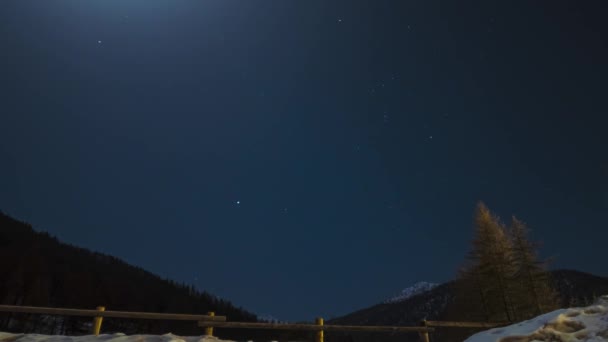 눈덮인 고산대 나무숲을 달빛을 밤하늘에서 오리온 자리가 — 비디오