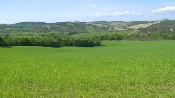 イタリアのトスカーナ州オルシア渓谷のユニークな緑の風景 造山運動場 穀物畑 — ストック動画