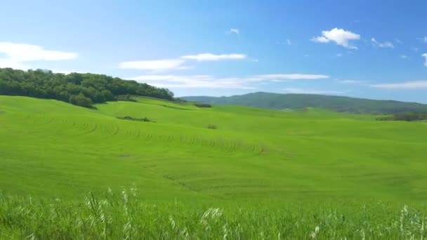 Uniek Groen Landschap Orcia Vallei Toscane Italië Gecultiveerde Heuvelrug Graanakkers — Stockvideo