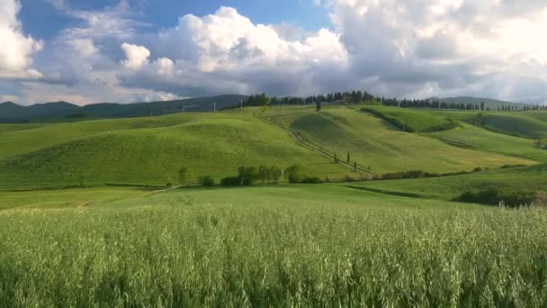 Jedinečná Zelená Krajina Údolí Orcia Toskánsko Itálie Pěstované Pohoří Obilná — Stock video