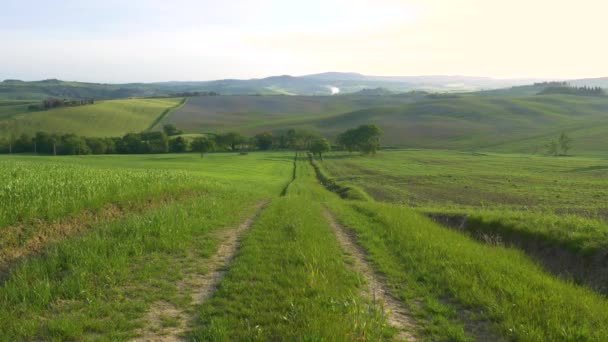 Einzigartige Grüne Landschaft Orcia Valley Toskana Italien Kultivierte Hügel Und — Stockvideo