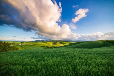 İtalya, Toskana, Volterra Vadisi 'ndeki eşsiz yeşil manzara. Ekilmiş tepe ve mısır gevreği tarlaları üzerinde manzara dramatik gökyüzü ve günbatımı ışığı. Toscana, İtalya.