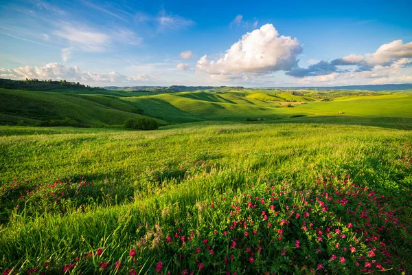 Paisaje Verde Único Valle Volterra Toscana Italia Escénico Cielo Dramático — Foto de Stock