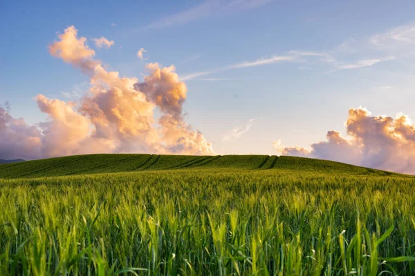 Paisagem Verde Única Volterra Valley Toscana Itália Cena Céu Dramático — Fotografia de Stock