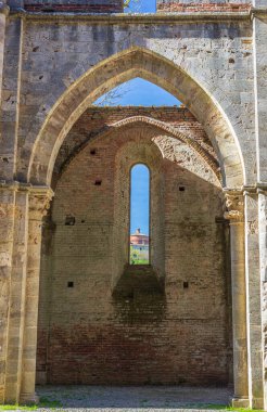 San Galgano, İtalya Manastırı - Mayıs 2021: Abbazia di San Galgano (orijinal adı), çökmüş çatılı antik bir katedralin kalıntısı, İtalya 'nın Toskana kentinde turizm merkezi. İç görünüm.