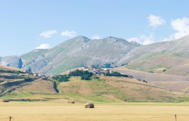 Castelluccio di Norcia yaylaları, İtalya, ekili tarlalar, Apennines 'teki ünlü turist renkli çiçek ovaları. Mercimek ekinleri ve kırmızı haşhaş tarımı.