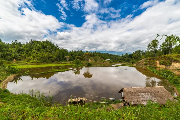 Paysage Toraja — Photo