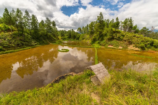 Toraja landscape — Stock Photo, Image