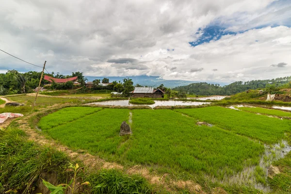 Traditional village — Stock Photo, Image