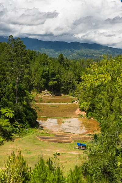 Toraja landscape — Stock Photo, Image