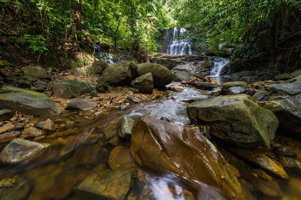 Водопад тропических лесов — стоковое фото