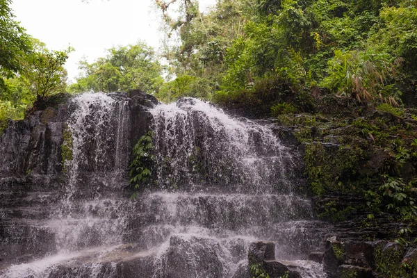 Cascada de selva tropical —  Fotos de Stock