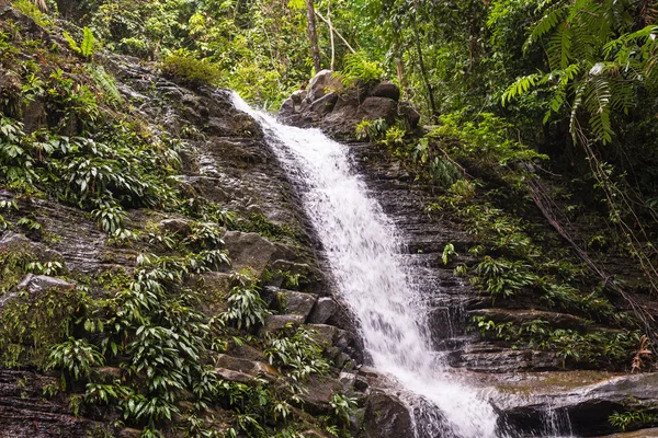 Водопад тропических лесов — стоковое фото