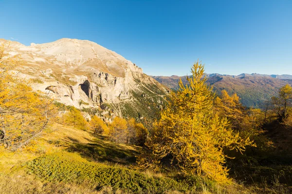 Los colores del otoño en los Alpes —  Fotos de Stock