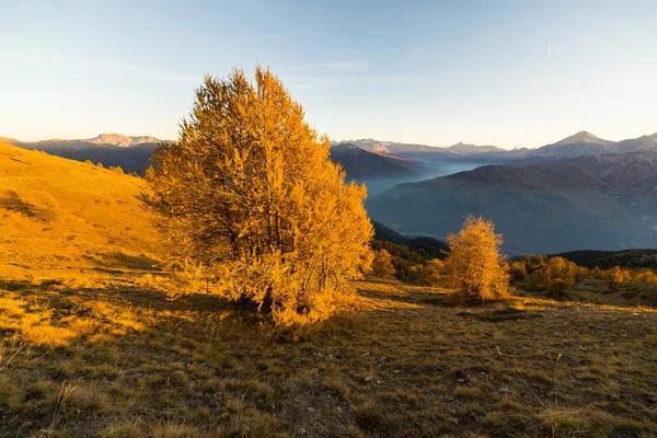 I colori dell'autunno nelle Alpi — Foto Stock