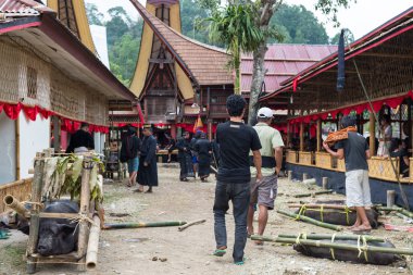 Tana Toraja geleneksel cenaze