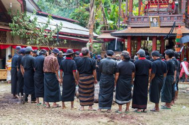 Tana Toraja geleneksel cenaze