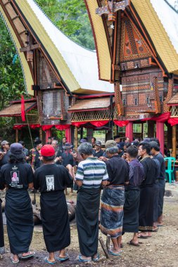 Tana Toraja geleneksel cenaze