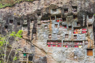 Tana Toraja geleneksel gömüldüğü yer