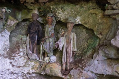 Tana Toraja geleneksel gömüldüğü yer