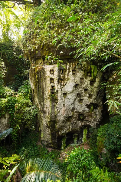 Traditionele begraafplaats in Tana Toraja — Stockfoto