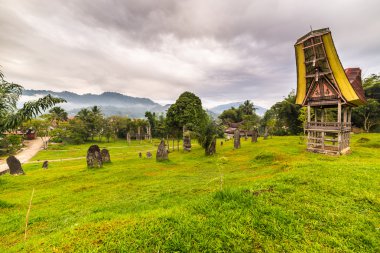 Toraja geleneksel tarzı mimarisi