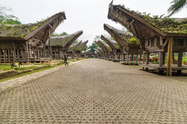 Traditional village, Tana Toraja — Stock Photo, Image