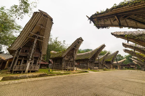 Geleneksel köy, Tana Toraja — Stok fotoğraf