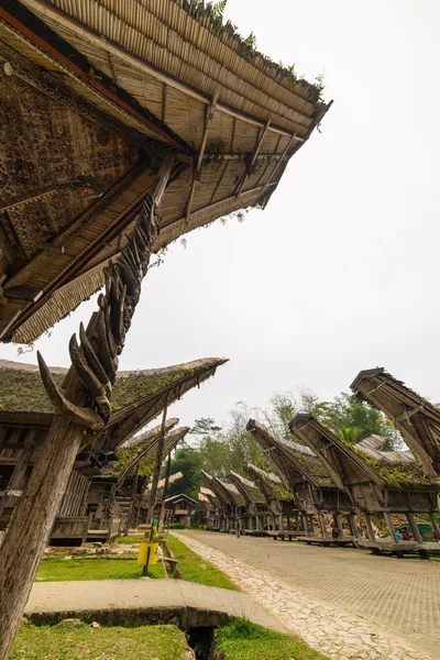 Traditionell arkitektur i Tana Toraja — Stockfoto