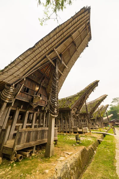 Pueblo tradicional, Tana Toraja — Foto de Stock