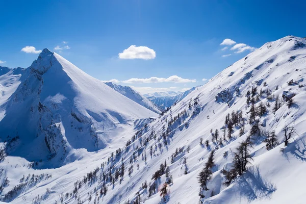 Elegante besneeuwde bergtop — Stockfoto