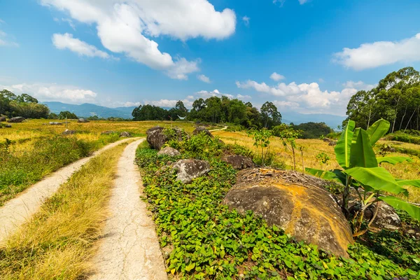 Ülke yol geçiş pirinç paddies — Stok fotoğraf