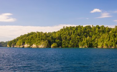 Kıyı şeridi vanjica adalar