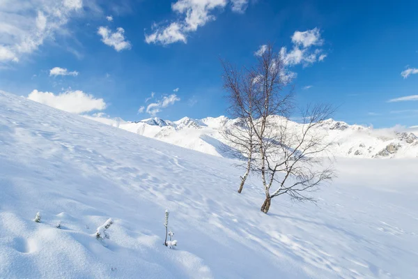 Ehrliche alpine Umgebung — Stockfoto