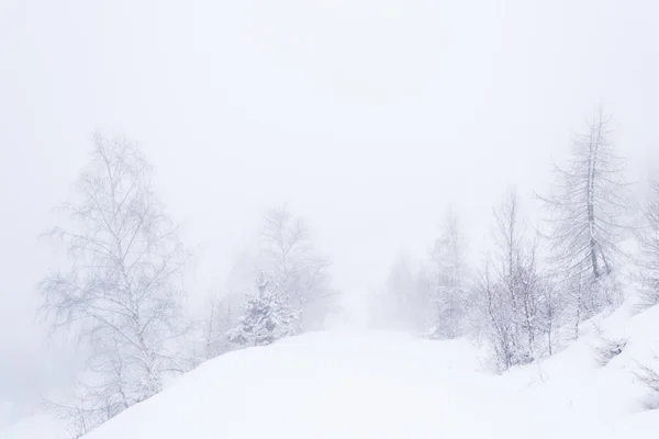 Rüya gibi kış ortamı