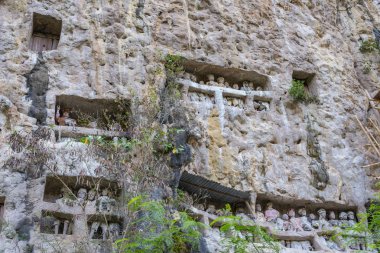 Tana Toraja geleneksel gömüldüğü yer