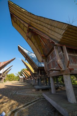 Geleneksel Toraja Köyü